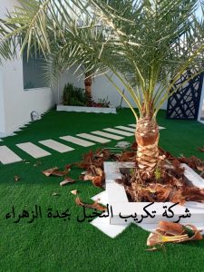 شركة تكريب النخيل بجدة